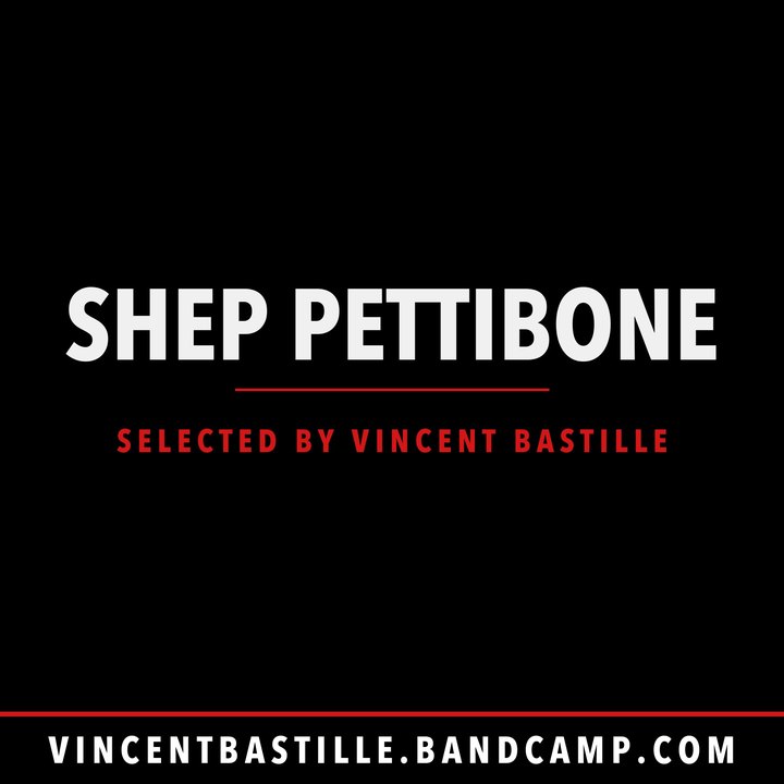 Cover of SHEP PETTIBONE