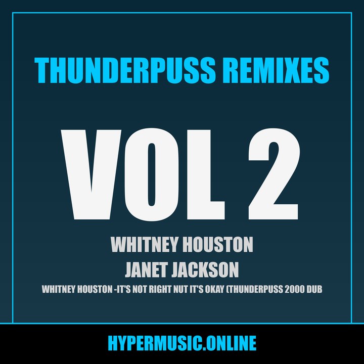 Cover of Thunderpuss Remixes Vol. 2