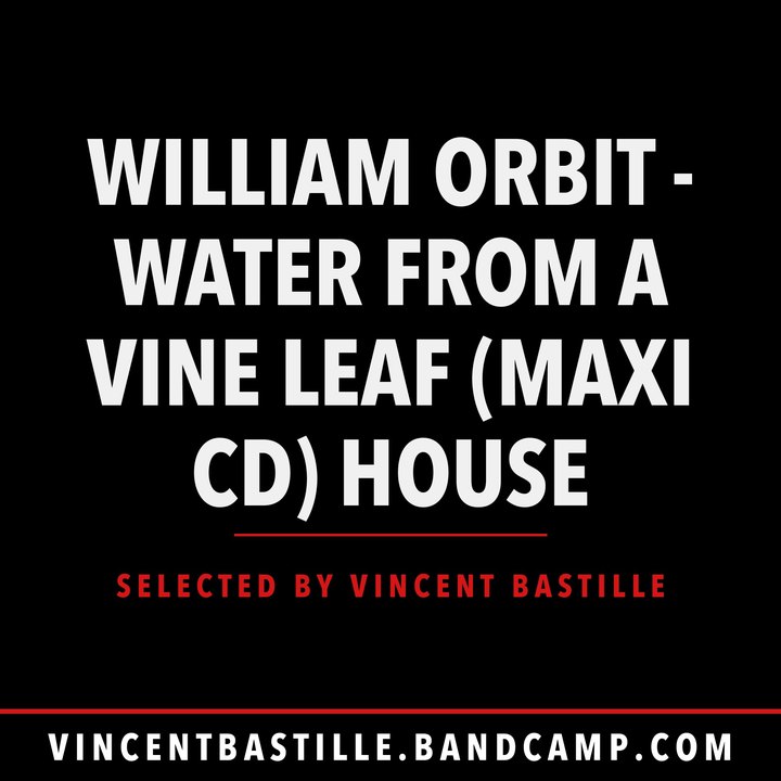 Cover of William Orbit - Water from a Vine Leaf (Maxi CD) HOUSE